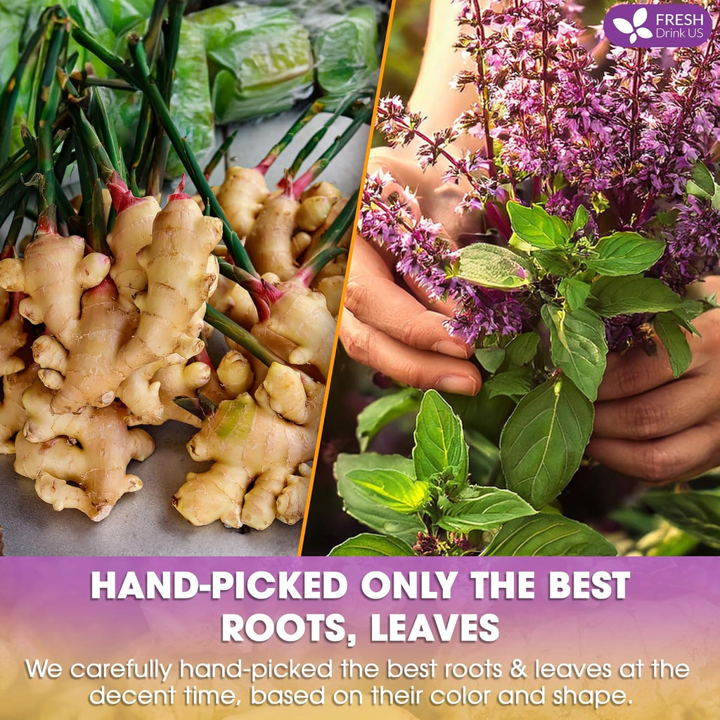 Premium Ginger Tulsi Tea Bags | Hand-made Blend of Ginger and Tulsi Holy Basil Leaves