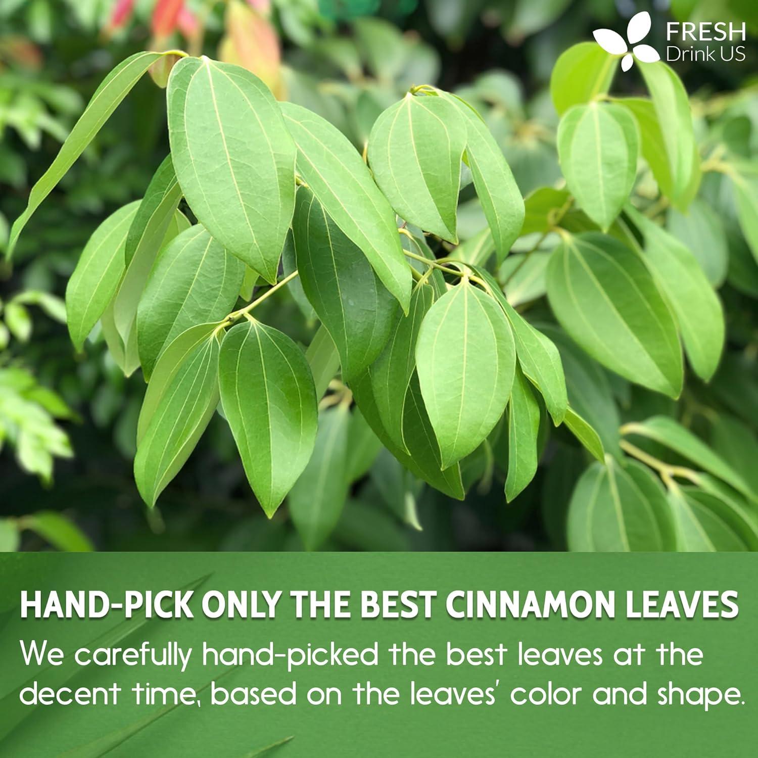 Cinnamon Leaves