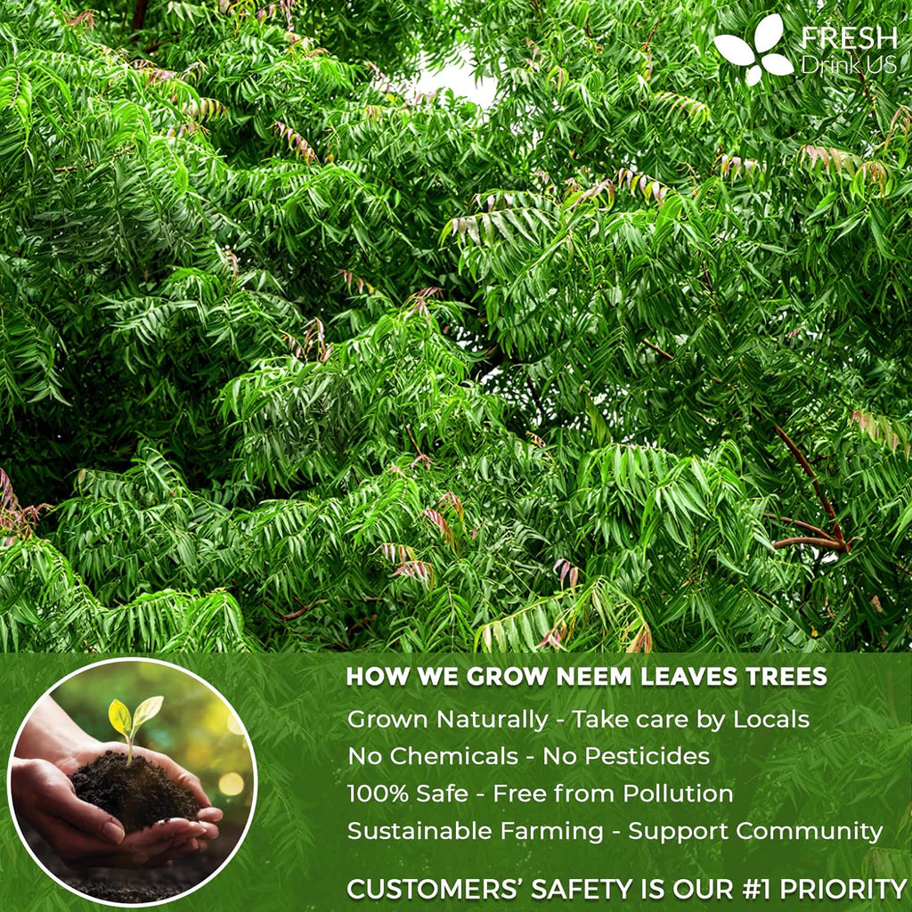 Neem Leaf Tea Bags, 100% Natural and Pure from Neem Leaves. Loose Leaf Neem Herbal Tea. Neem Leaf Tea. No Sugar, No Caffeine, No Gluten, Vegan.