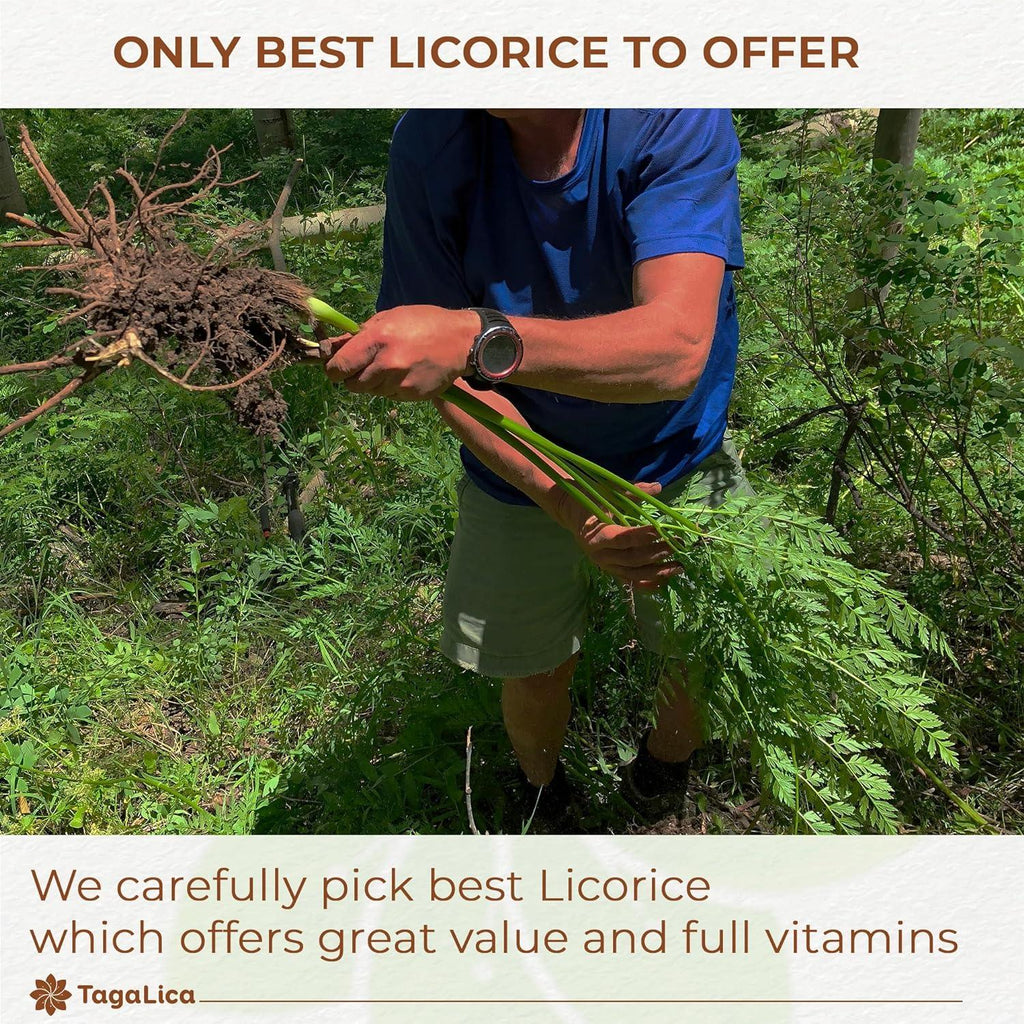 Premium Licorice Root Tea Bags, 100% Natural, Pure Licorice Root, Eco-Conscious Tea Bags, Licorice Root Herbal Tea, Licorice Root Tea. No Sugar, No Caffeine, No Gluten, Vegan