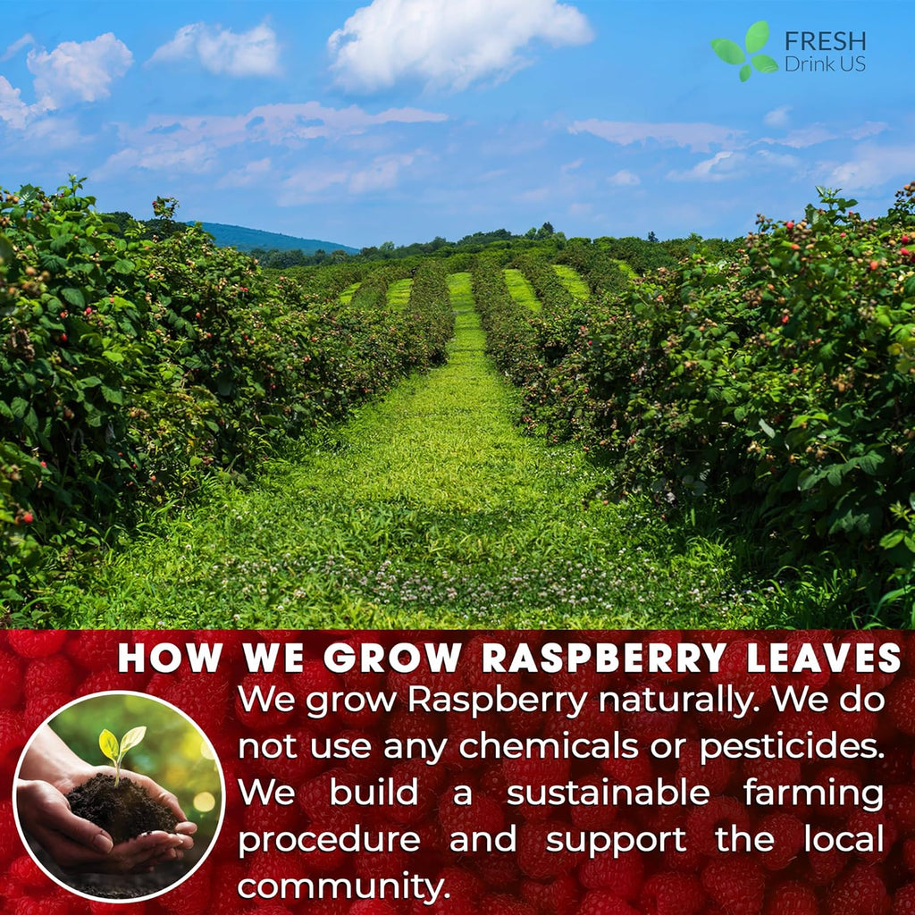 Raspberry Leaf Tea Bags, 100% Natural & Pure from Raspberry Leaves. Loose Leaf Raspberry Herbal Tea, Made with Natural Material Tea Bags, Raspberry Leaf Tea. No Sugar, No Caffeine, No Gluten, Vegan.