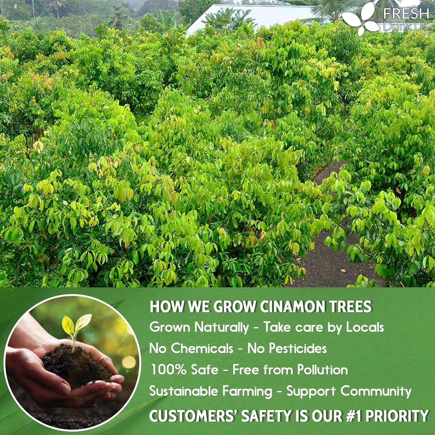 Cinnamon Leaves