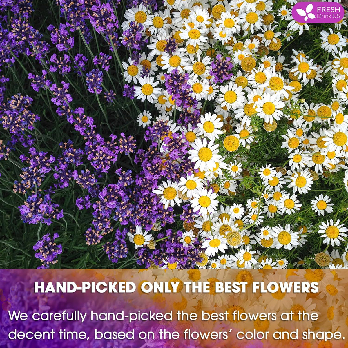 Premium Chamomile Lavender Tea Bags, Eco-conscious Tea Bags. No Sugar, No Caffeine, No Gluten, Vegan.