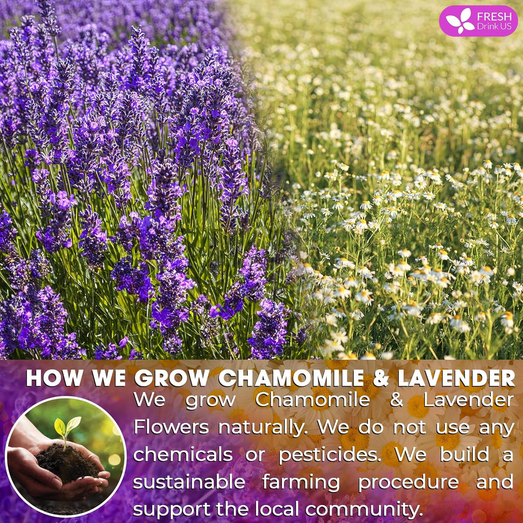Premium Chamomile Lavender Tea Bags, Eco-conscious Tea Bags. No Sugar, No Caffeine, No Gluten, Vegan.